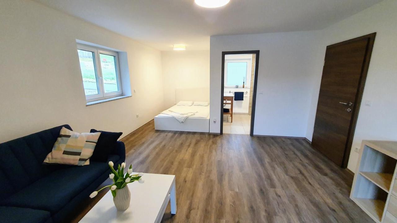 Rooms And Apartments Vili Ptuj Exterior foto